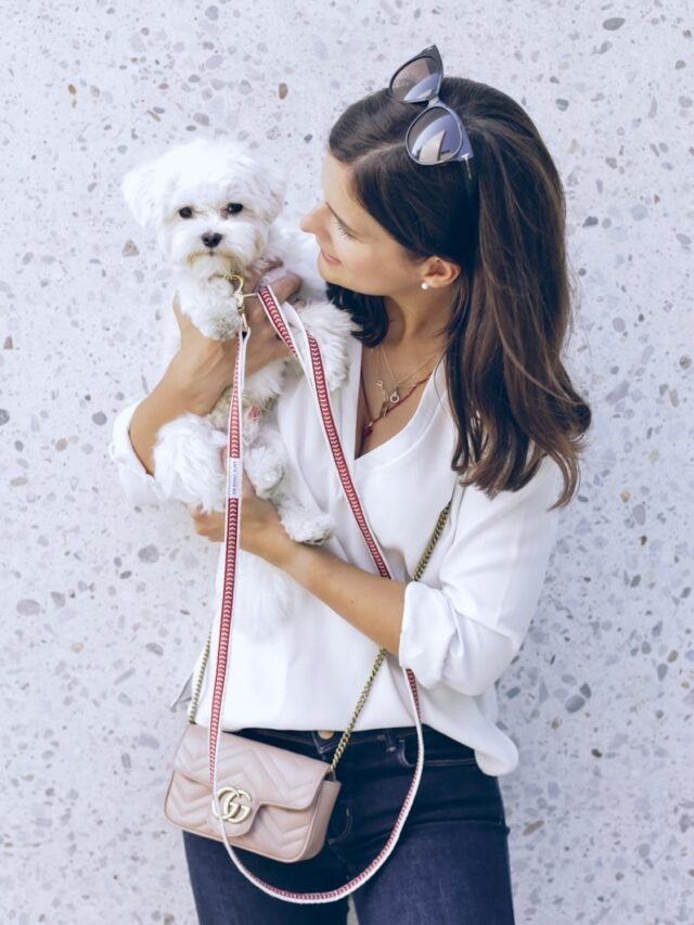 woman in white long-sleeved blouse carrying white puppy beside wall