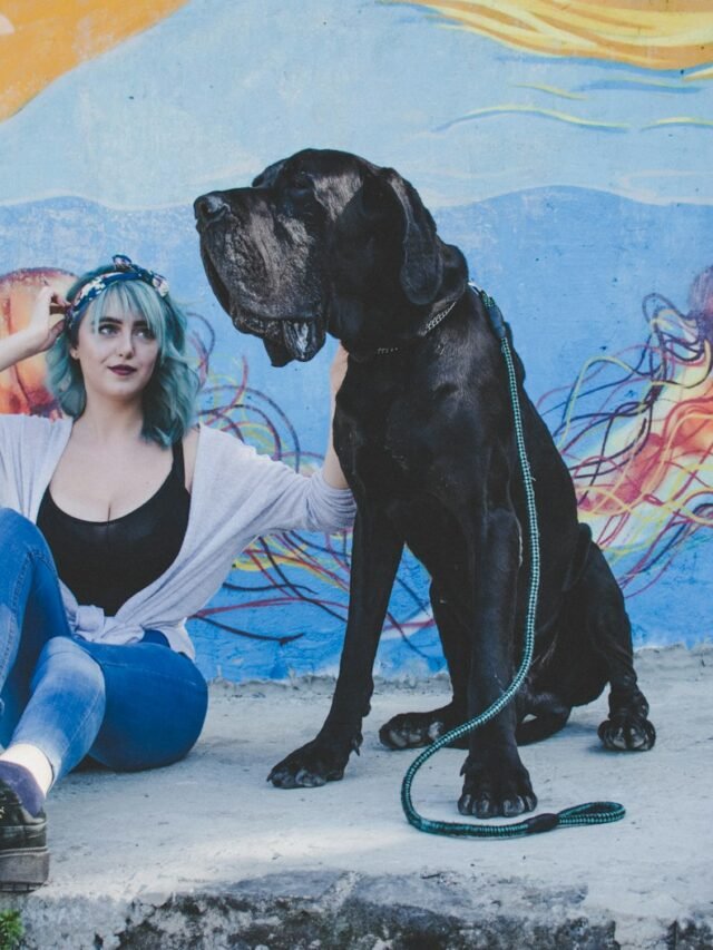 woman sitting on street with her dog